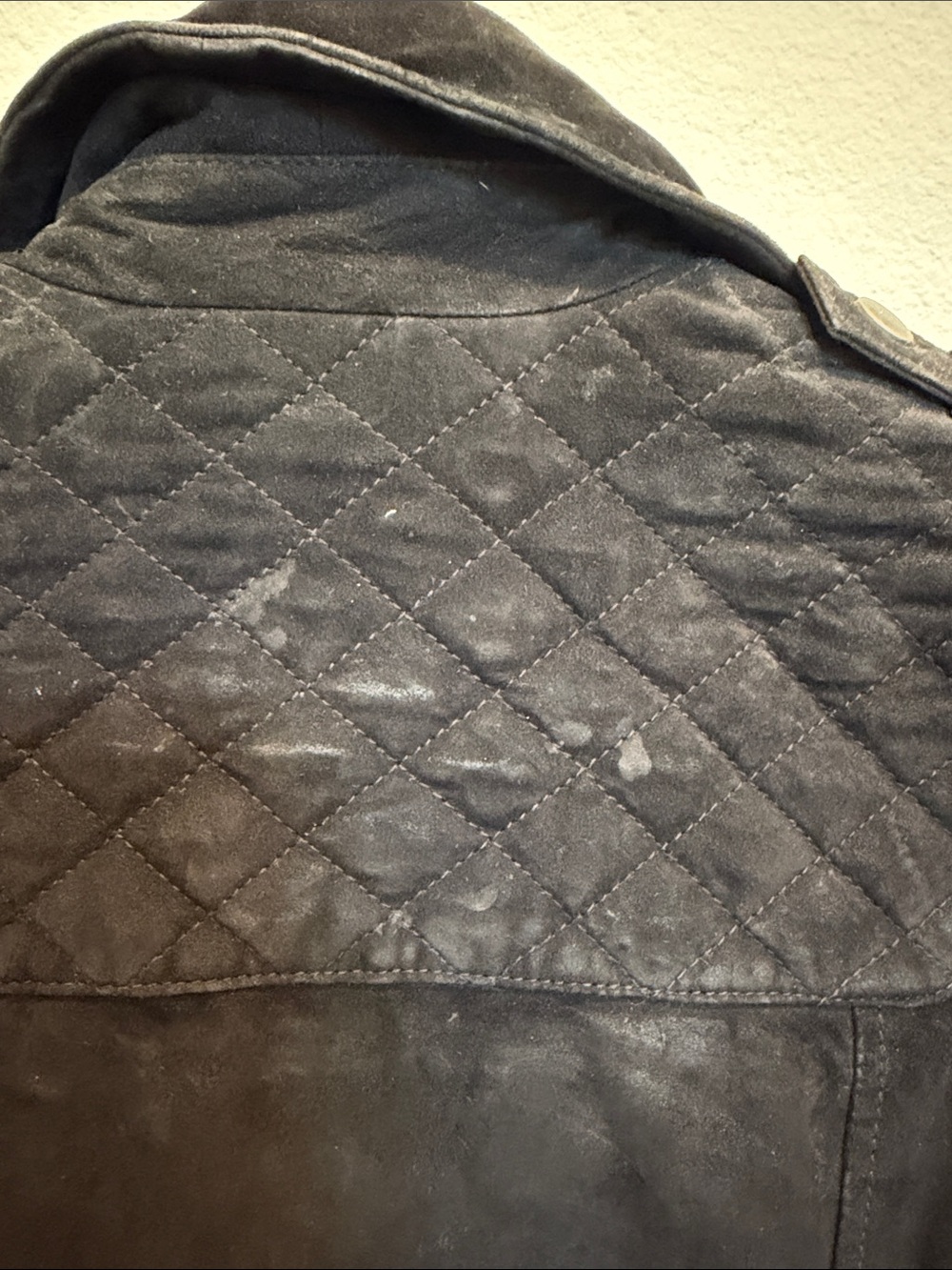Alice + Olivia Black Suede Moto Jacket - Picture 6 of 7